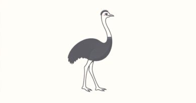About Ostrich in Tamil