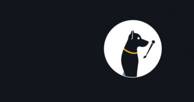 Auto XS Efface Rayure