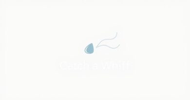 Catch a Whiff Meaning
