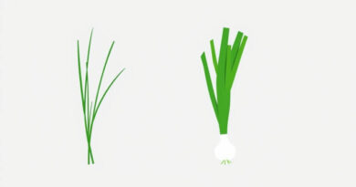 Chives vs Green Onion