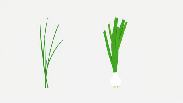 Chives vs Green Onion