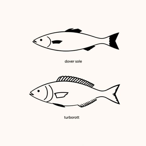 Dover Sole vs Turbot