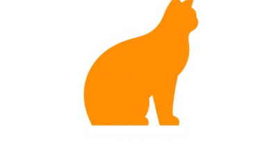 Ginger Noida Sector 63