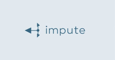 Greek Word for Impute
