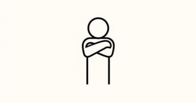 Handle for a Naysayer