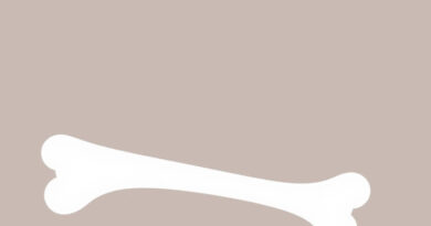 Hard Bump on Shinbone