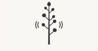 How to Pronounce Larch