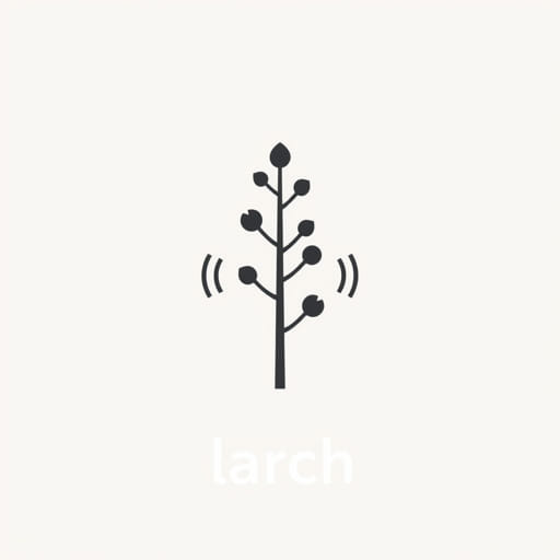 How to Pronounce Larch