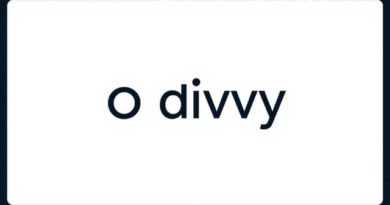 is divvy a swear word