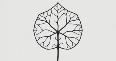 is quantifiable a word