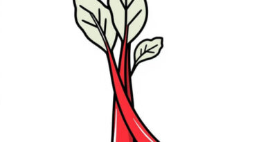 is rhubarb a vegetable