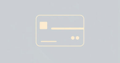 Is Wise a Travel Card