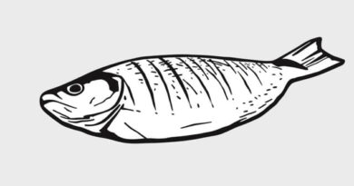 Josper Grilled Turbot Fillet