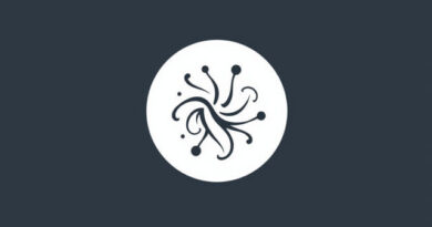 Kerfuffle Meaning in English