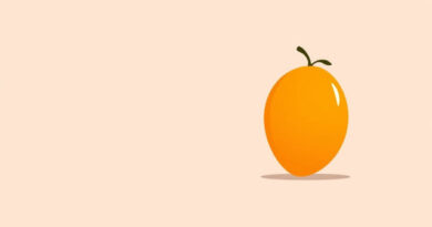 Kwality Walls Alphonso Mango
