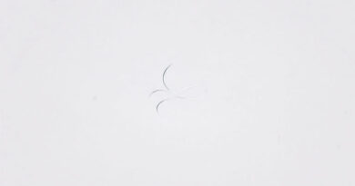 Lies of P Fascination