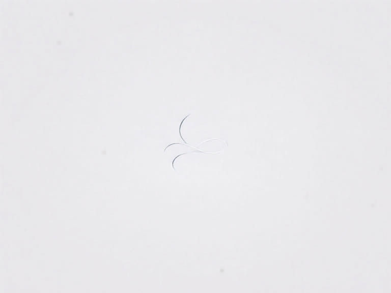 Lies of P Fascination