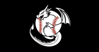 Like a Dragon Hardball