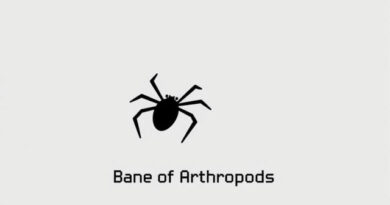 Minecraft Bane of Arthropods