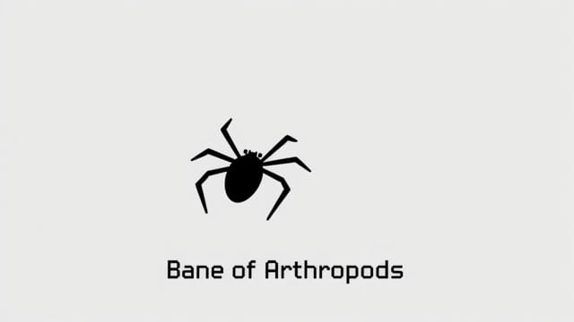 Minecraft Bane of Arthropods