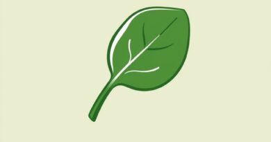 Name a Green Vegetable