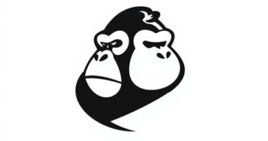 Names for Gorilla Tag