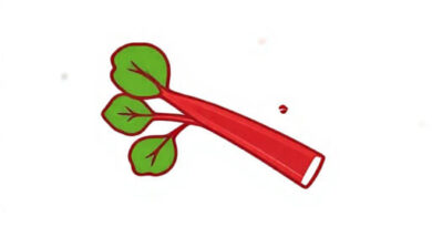 Nutritional Value of Rhubarb