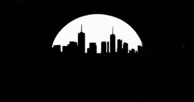 NYT View with Disdain