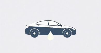 Oil Change Carlsbad NM