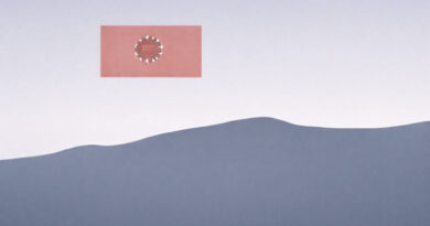 Origen del Apellido Pinochet