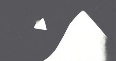 Other Term for Diverge