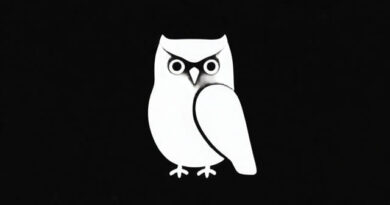 Owen King The Curator