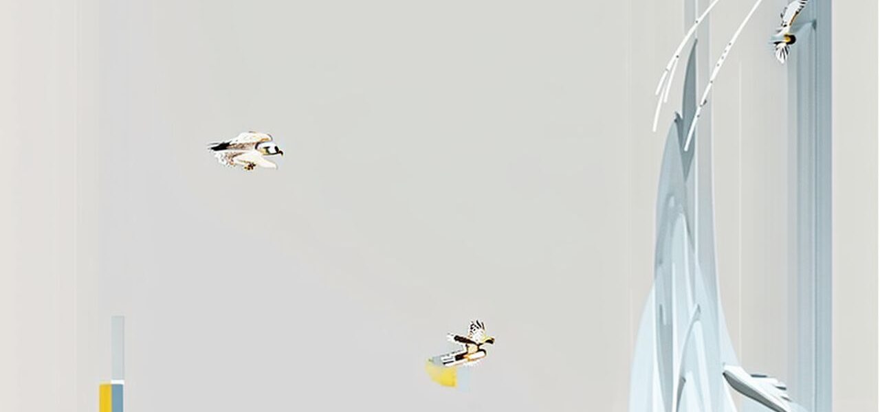 What is a Hen Harrier