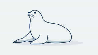 are-weddell-seals-dangerous.jpg