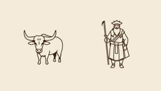 cattle-lords-and-clansmen.jpg