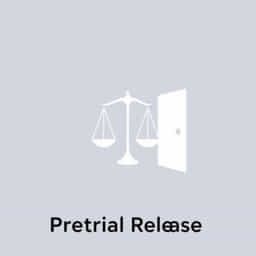is-pretrial-release-good.jpg