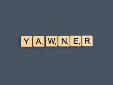 is-yawner-a-scrabble-word.jpg