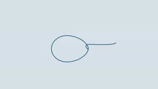 loop-knot-for-fluorocarbon.jpg