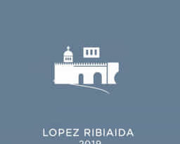 lopez-ribalda-v-spain-2019.jpg