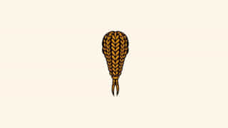 middle-part-fulani-braids.jpg