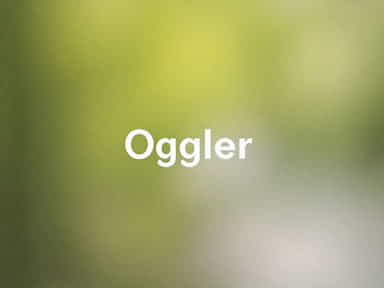 ogler-meaning-in-malayalam.jpg