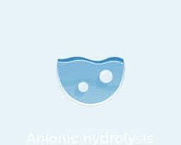 what-is-anionic-hydrolysis.jpg