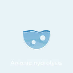 what-is-anionic-hydrolysis.jpg