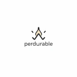 what-is-perdurable-meaning.jpg