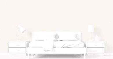 A Bed With A Desk Underneath