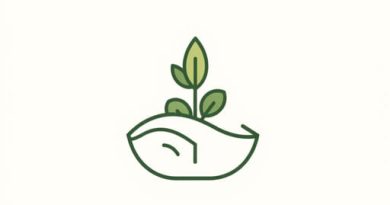 Alienable And Disposable Land Meaning Philippines