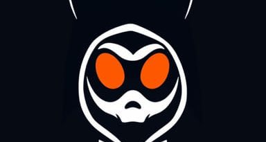 Another Name For Hoodlum