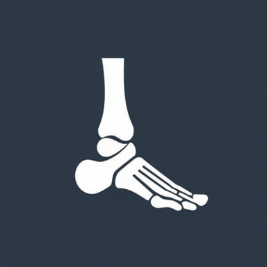 Bipartite Medial Hallux Sesamoid