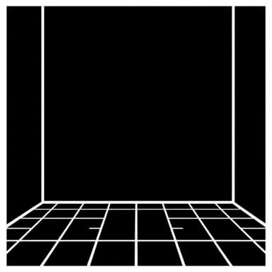 Black And White Linoleum Flooring