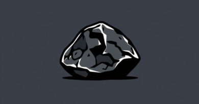 Black Carbonaceous Rock Crossword Clue